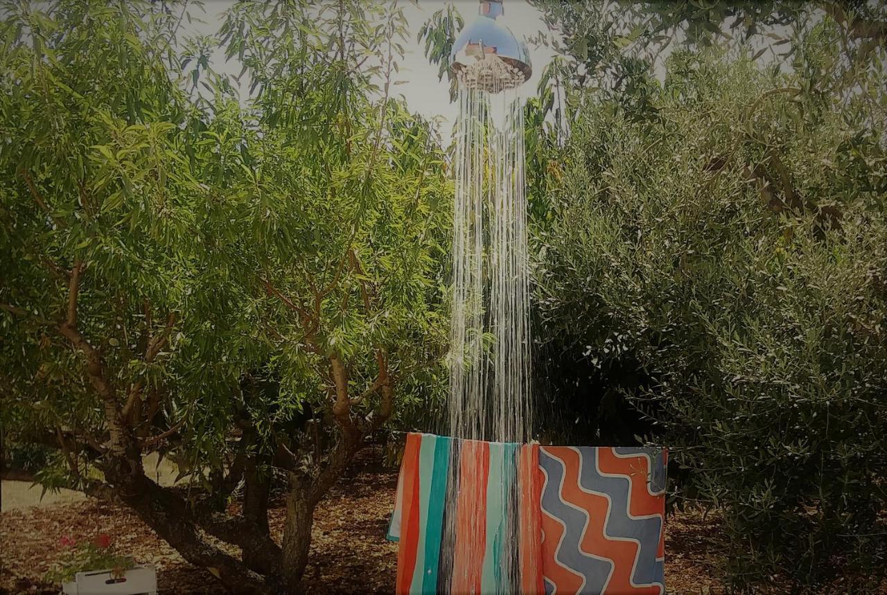 فيلا Casa Ale & Vinci مونوبولي المظهر الخارجي الصورة